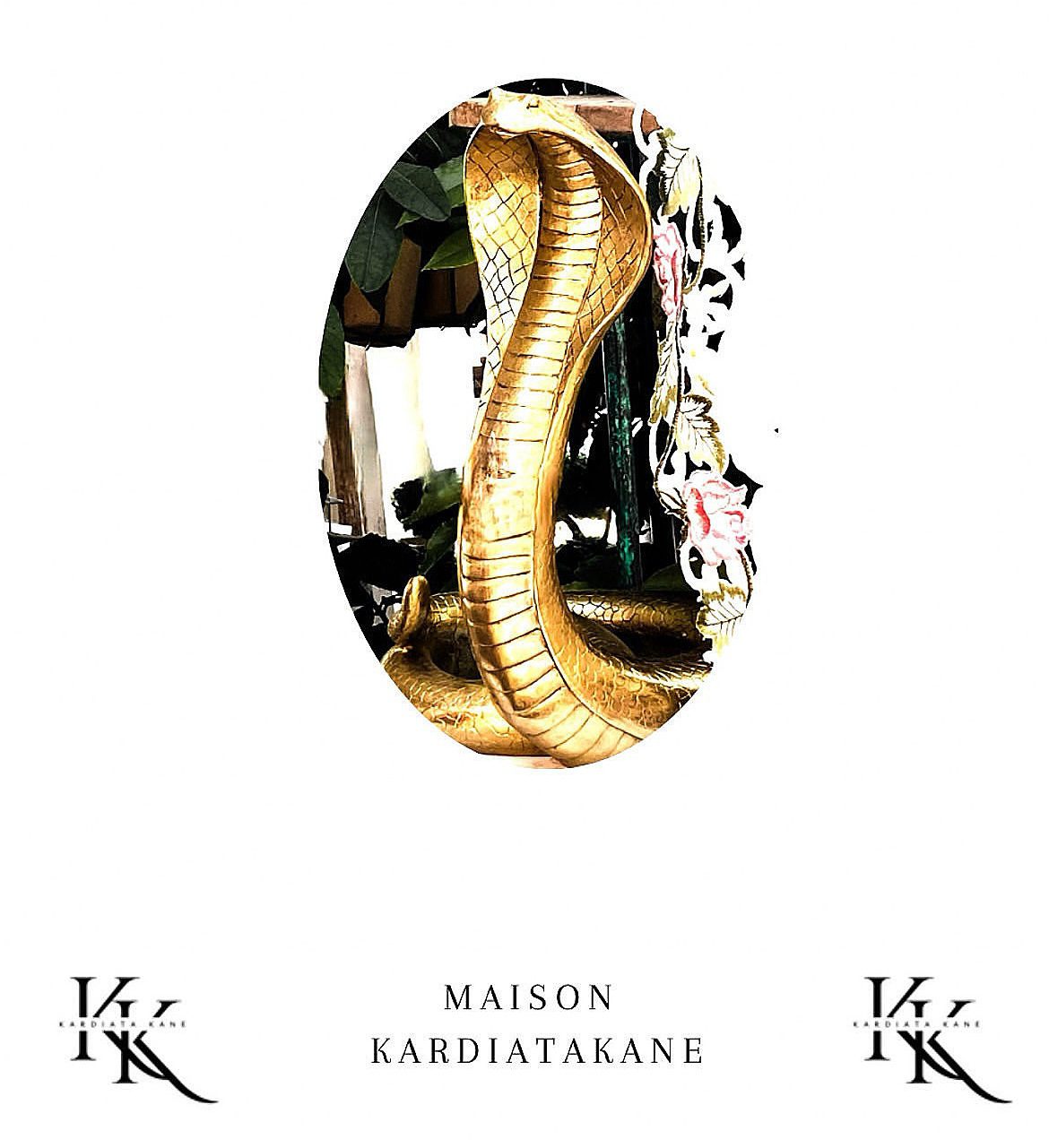 logo maison kardiata kane